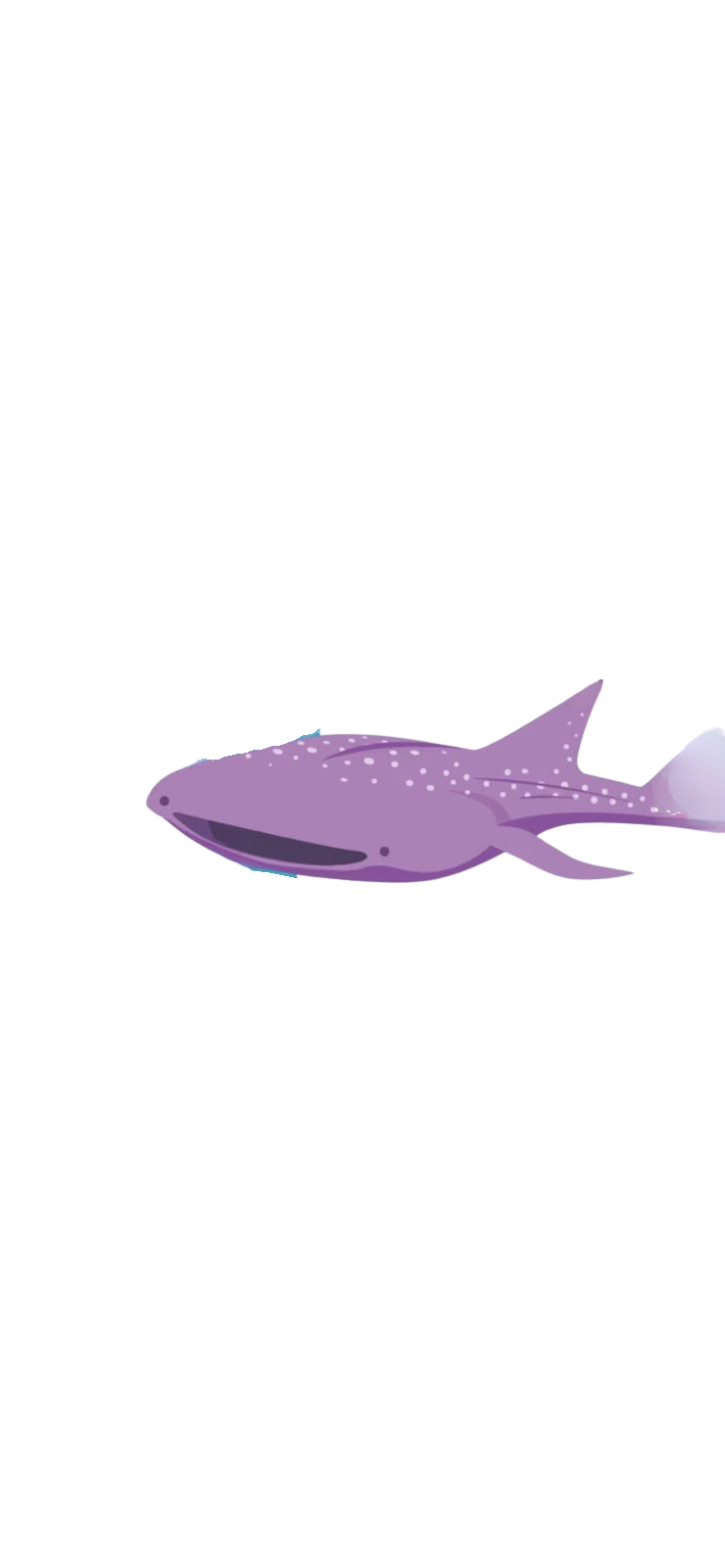 Stage 7